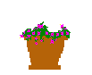 Gif 144