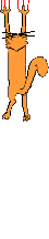 Gif 51