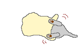 Gif 54