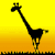 Gif 01