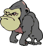 Gif 01