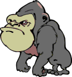 Immagine 01 Gorilla