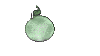 Gif 07
