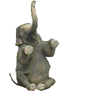 Gif 47