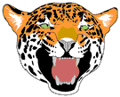 Immagine 114 Leoni tigri
