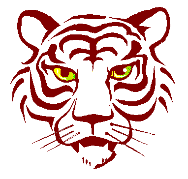 Immagine 122 Leoni tigri