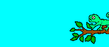 Gif 11