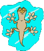 Gif 12