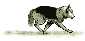 Gif 01