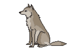 Gif 41