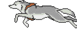 Gif 69