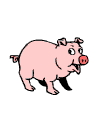 Gif 05