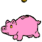 Gif 01