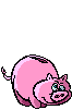 Gif 03