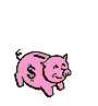 Gif 05