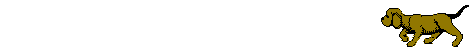 Gif 02