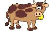 Gif 02