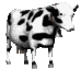 Gif 03