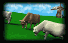 Gif 05
