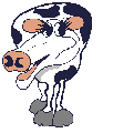Gif 52