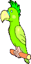 Gif 07