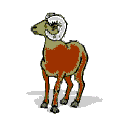 Gif 29