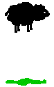Gif 31