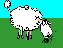 Immagine 36 Pecore