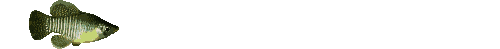 Gif 100