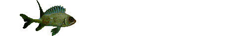 Gif 102