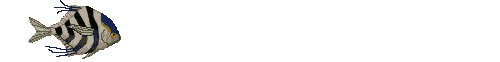 Gif 103