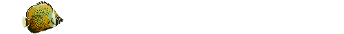 Gif 104