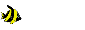 Gif 23