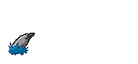 Gif 33