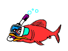 Gif 91