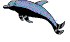 Gif 21