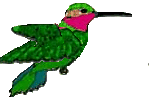 Gif 04