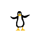 Immagine 12 Pinguini