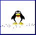 Immagine 15 Pinguini