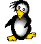 Gif 16