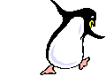 Gif 20