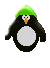 Immagine 22 Pinguini