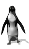 Immagine 36 Pinguini