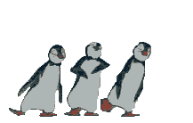 Immagine 38 Pinguini