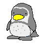 Immagine 52 Pinguini