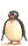 Immagine 57 Pinguini