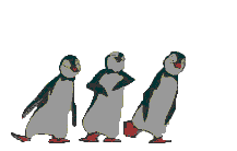 Immagine 76 Pinguini