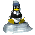 Immagine 78 Pinguini