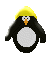 Immagine 84 Pinguini