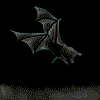 Gif 02